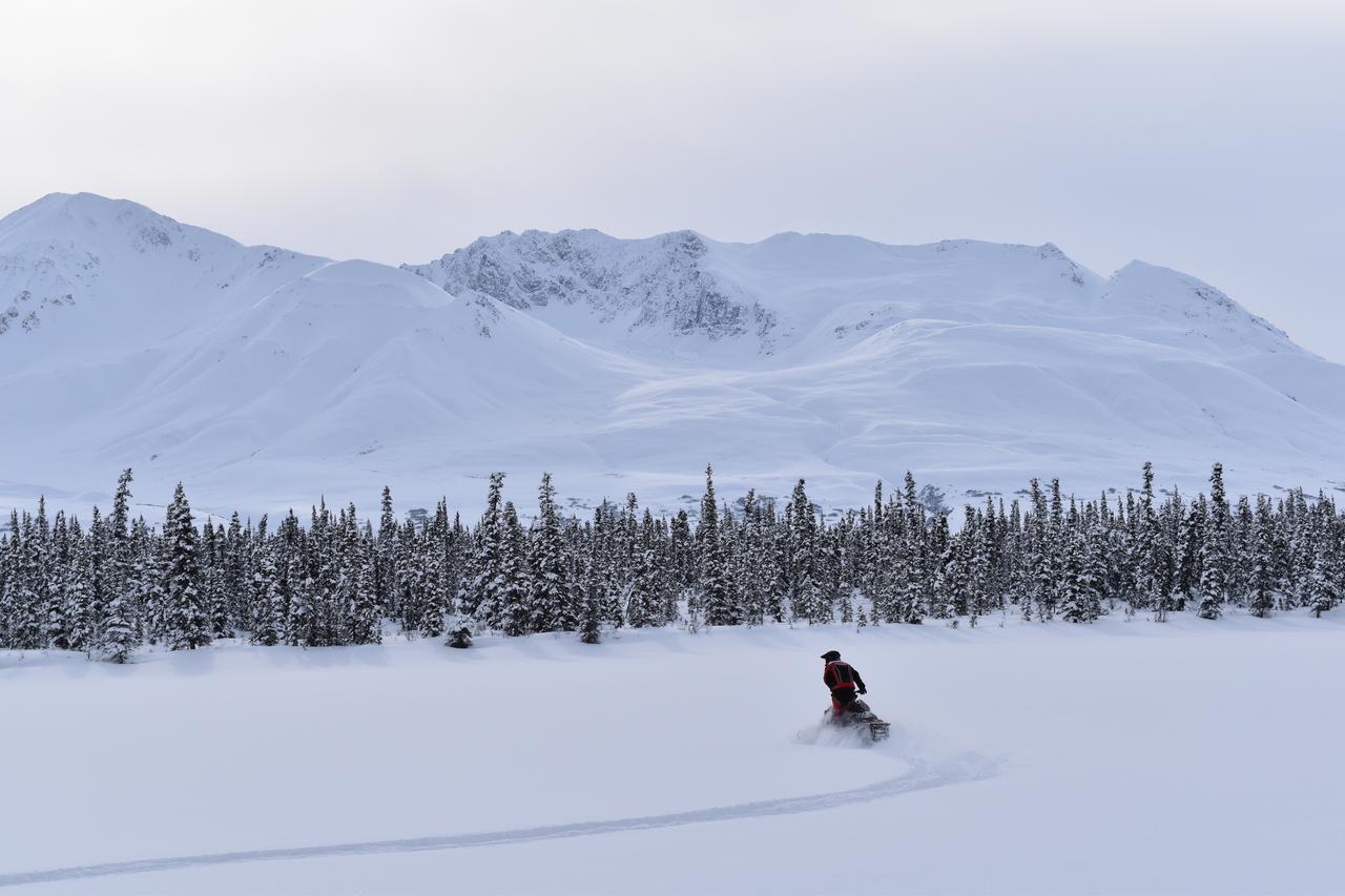 Backwoods Lodge Cantwell Buitenkant foto